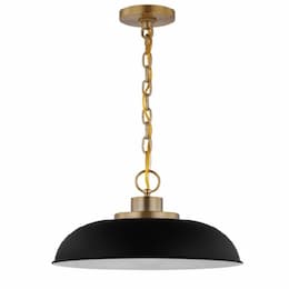 100W Colony Pendant, 1 Light,  120V, Black/Burnished Brass, Small