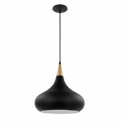 60W Phoenix Pendant, Medium, 120V, Black/Polished Nickel