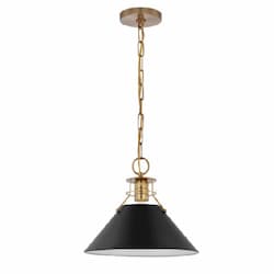 60W Phoenix Pendant, Medium, 120V, Black/Burnished Brass