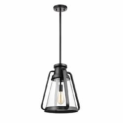 14-in 60W Everett Pendant, 120V, Black/Clear Glass