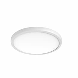 19-in 34W Blink Pro Surface Mount, Round, 120V-277V, CCT Select, White