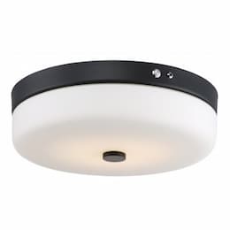 LED Flush Mount Emergency EMR Light Fixture, Aged Bronze, White Glass