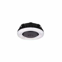 Nuvo 100W LED Canopy Fixture, Sensor Port, 15322 lm, 120/277V, Bronze