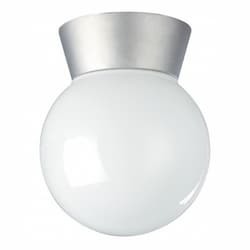 Utility Outdoor Ceiling Light, Satin Aluminum, White Glass Globe