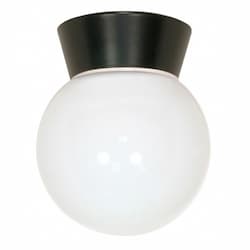 Utility Outdoor Ceiling Light, Bronzotic, White Glass Globe