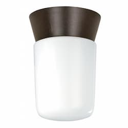 Utility Outdoor Ceiling Light, Bronzotic, White Glass Cylinder