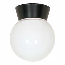 Utility Outdoor Ceiling Light, Black, White Glass Globe