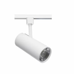 30W LED Commercial Track Light Head, Flood, 120V, 3000K, White