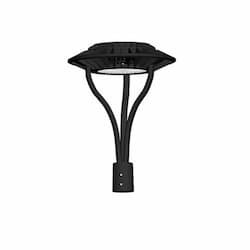 80W LED Designer Post Top Light, 120V-277V, 5000K