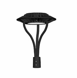 80W LED Post Top Light, 175-320W HID Retrofit, 9537 lm, 5000K, Black