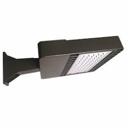 26W LED Shoebox Fixture w/ Pole & Mount, 5000K, Bronze