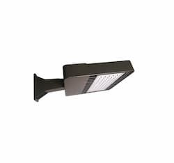 51W LED Shoe Box Area Light, 5000K, Bronze