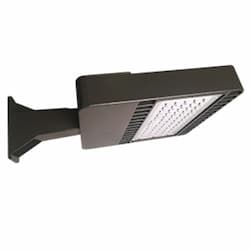 76W LED Shoebox Fixture, 9523 lm