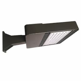 148W LED Shoebox Fixture, 18185 lm