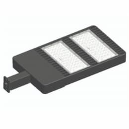 229W LED Shoebox Fixture V2, 23577 lm