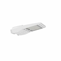 100W LED Shoebox Fixture, 15000 lm, 120V-277V, 5000K, White