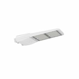 300W LED Shoebox Fixture, 45000 lm, 120V-277V, 5000K, White