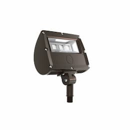 30W LED Flood Light w/ 1/2-in Knuckle Mount, 3679 lumens, 4000K