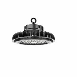 199W LED Compass High Bay Light, 28841 lm, 100V-277V, 5000K