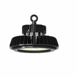 100W LED UFO High Bay, Dimmable, 14491 lm, 120V-277V, 5000K