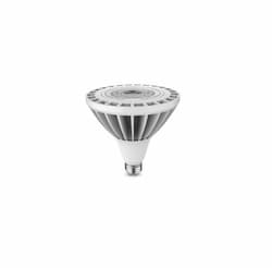 25W LED PAR38 Bulb, 120W Inc. Retrofit, E26, 2500 lm, 5000K