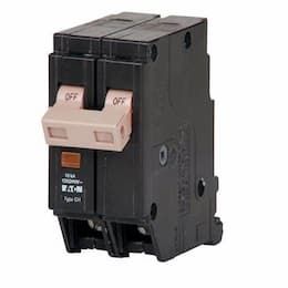 Replacement 2-Pole Circuit Breaker 