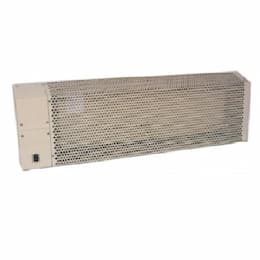 Qmark Heater 1000W Institutional Electrical Convector, 1 Ph, 2.9A, 347V