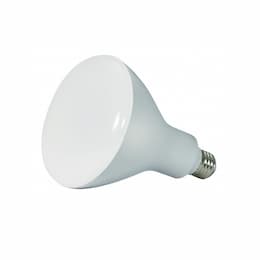 16.5W LED BR40 Bulb, Dimmable, E26, 1075 lm, 120V, 5000K, Frosted