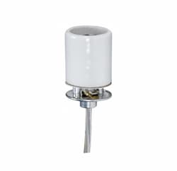 660W Glazed Porcelain Socket w/ 1/8 IPS Cap, Medium, 250V 