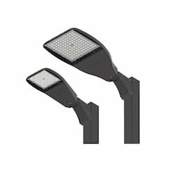 ILP Lighting 46W LED Flood Light w/ Slipfitter, Flood, 120V-277V, 4000K, Black