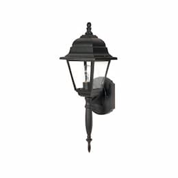 60W Briton Wall Lantern w/ Clear Seed Glass, 1 Light, Textured Black