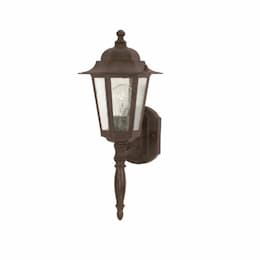 60W Cornerstone LED Wall Lantern w/ Clear Seed Glass, 1 Light, Old Bronze