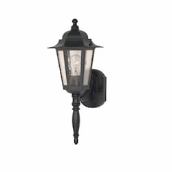 60W Cornerstone LED Wall Lantern w/ Clear Seed Glass, 1 Light, Textured Black