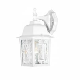 100W 12-in Banyan LED Outdoor Wall Lantern w/ Clear Water Glass, 1 Light, White