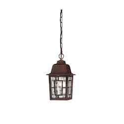 100W Banyan LED Outdoor Hanging w/ Clear Water Glass, Rustic Bronze