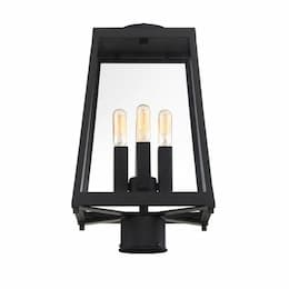 60W Halifax Series Post Light w/ Clear Glass, 4 Lights, Matte Black