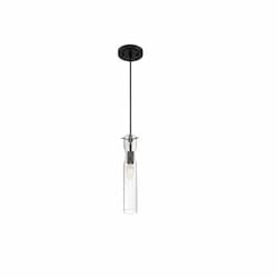 60W Spyglass Series Mini Pendant Light w/ Clear Glass, Black