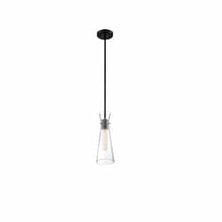 60W Bahari Series Mini Pendant Light w/ Clear Glass, Black