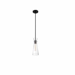 60W Bahari Series Mini Pendant Light w/ Clear Glass, Black