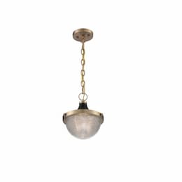 60W Faro Series Small Pendant Light w/ Prismatic Glass, Burnished Brass & Black