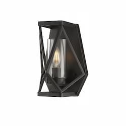 60W Zemi Series Wall Sconce w/ Clear Glass, Black 