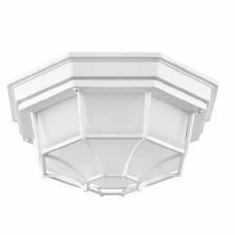 18.5W LED Spider Cage Fixture, 1100 lm, 120V, 3000K, White