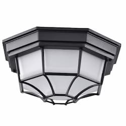 18.5W LED Spider Cage Fixture, 1100 lm, 120V, 3000K, Black