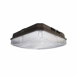 28W LED Canopy Light, Dimmable, 3360 lm, 5000K, Bronze