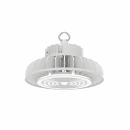 100W LED UFO High Bay, 250W MH Retrofit, Dimmable, 13000 lm, 100V-277V, 4000K