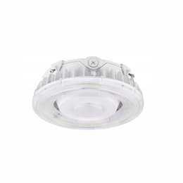 40W LED Canopy Fixture, 5293 lm, 100V-277V, Selectable CCT, White