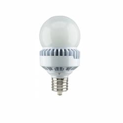 35W LED A25 Bulb, EX39, 4830 lm, 100V-277V, 5000K