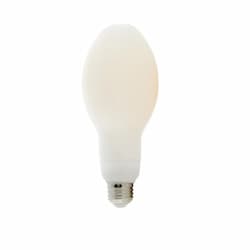 16W LED Filament Bulb, E26, 2000 lm, 5000K, Frosted White