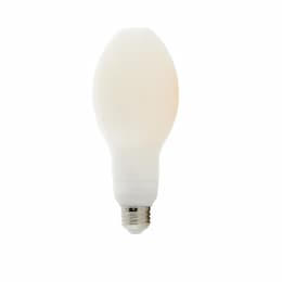 22W LED Filament Bulb, E26, 3000 lm, 5000K, Frosted White