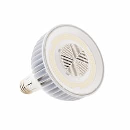 100W LED High Bay Bulb, Dimmable, EX39, 15500 lm, 120-277V, 5000K